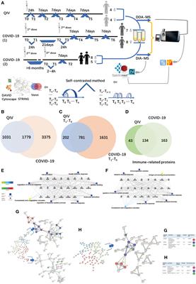 Changes in the urinary proteome before and after quadrivalent influenza vaccine and COVID-19 vaccination